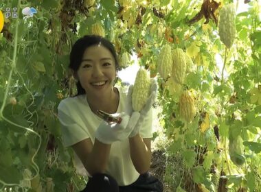 【画像】今日の浅倉美恩さん　9.3