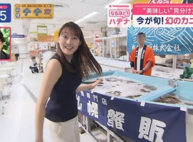 【画像】今日の森山みなみさん　9.11※動画も