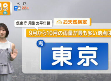 【画像】今日の今井春花さん　9.13