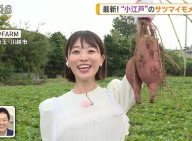 【画像】今日の今井春花さん　10.5