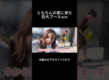 新居に巨大プールがきた