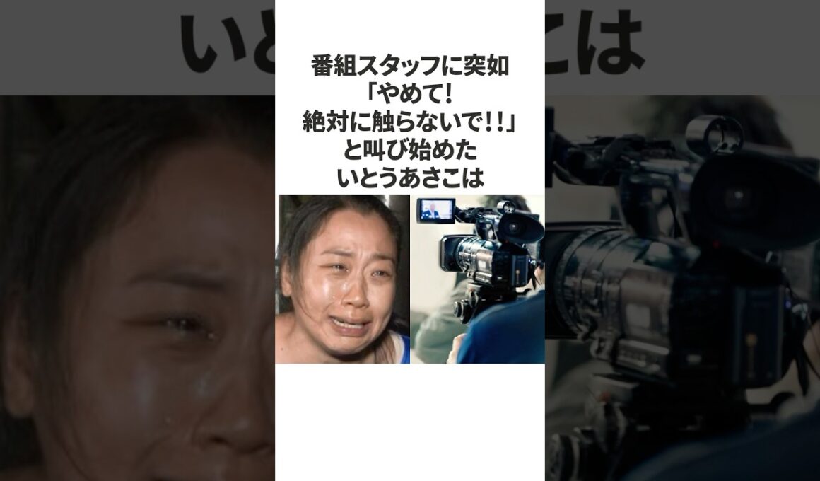 【感動】いとうあさこがスタッフへかけていた優しい気遣い #shorts #いとうあさこ