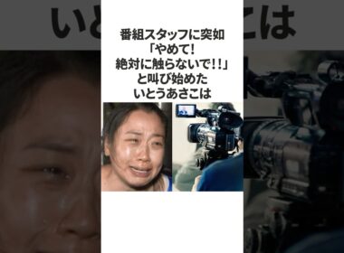 【感動】いとうあさこがスタッフへかけていた優しい気遣い #shorts #いとうあさこ