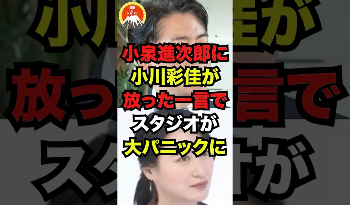 小泉進次郎に小川彩佳が放った一言でスタジオが大パニックにw