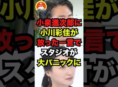 小泉進次郎に小川彩佳が放った一言でスタジオが大パニックにw