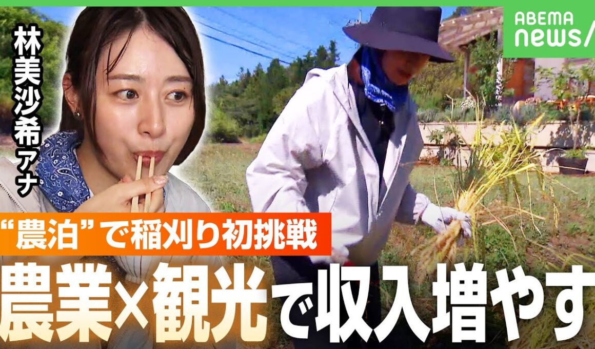 【農業の未来】「農泊」で客ゼロ→400万円の“プラス収入”事例も…日本の農業がインバウンドの新たな“観光資源”に？｜アベヒル