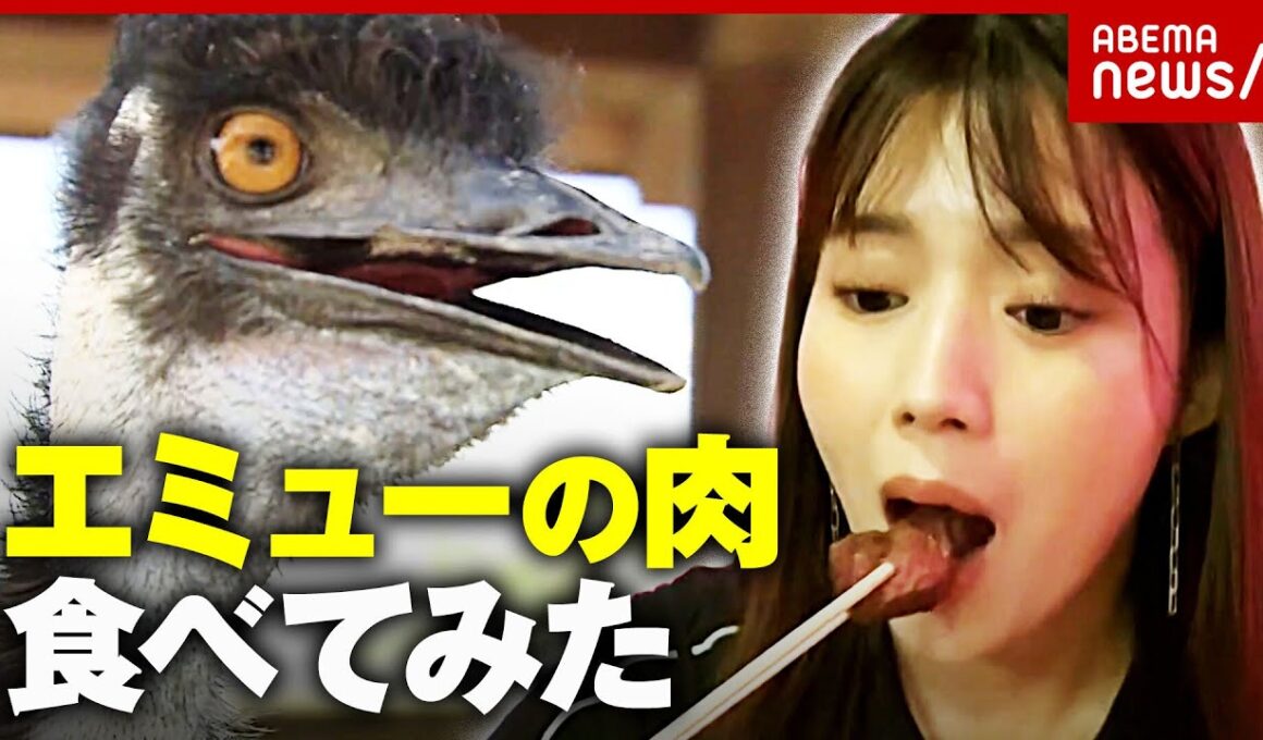【エミュー逃走で警察出動】「大きな音でショック死」「肉は高タンパク」動物逃走がニュースになる法則｜ABEMA的ニュースショー