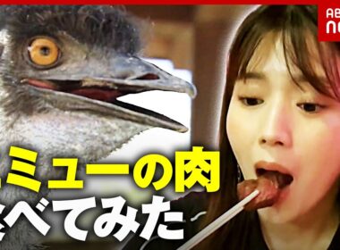【エミュー逃走で警察出動】「大きな音でショック死」「肉は高タンパク」動物逃走がニュースになる法則｜ABEMA的ニュースショー