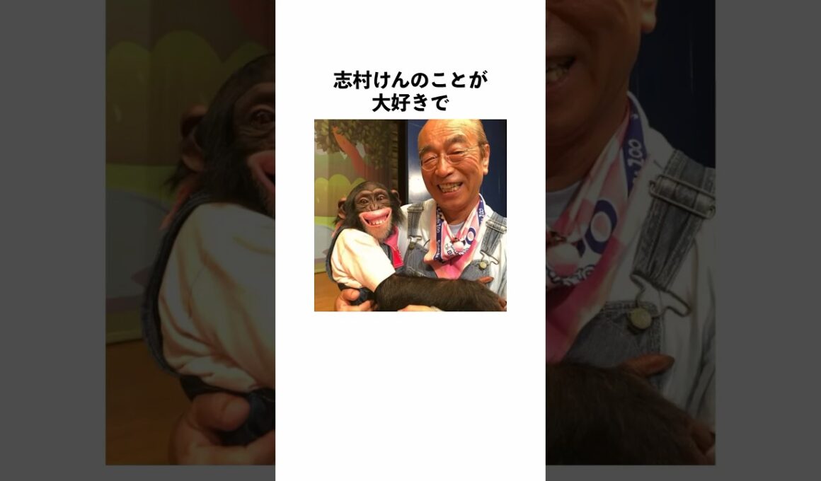 志村どうぶつ園　パンくんに関する雑学#shorts