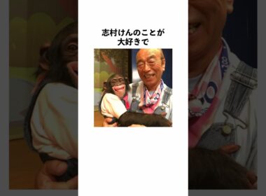 志村どうぶつ園　パンくんに関する雑学#shorts