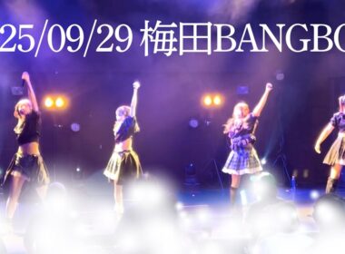 デビューから半年が経ちました！