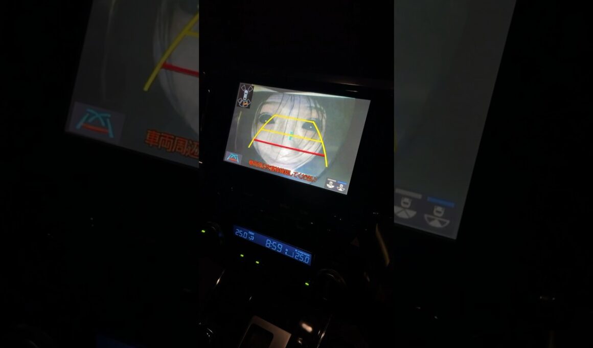 車でバックしたらヤバい女が張り付いてるドッキリwwwww