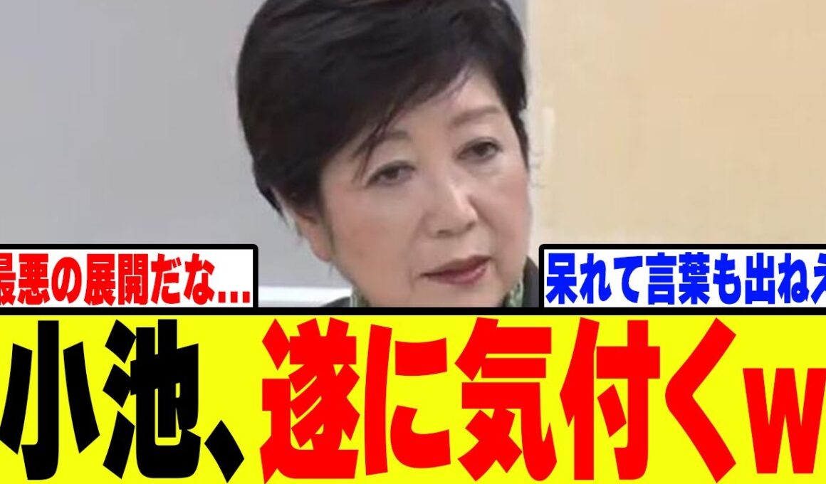 【衝撃】小池百合子、移民反対デモに遂に気付いてしまうwww