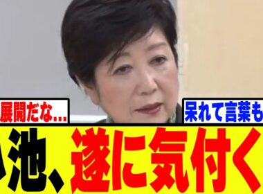 【衝撃】小池百合子、移民反対デモに遂に気付いてしまうwww