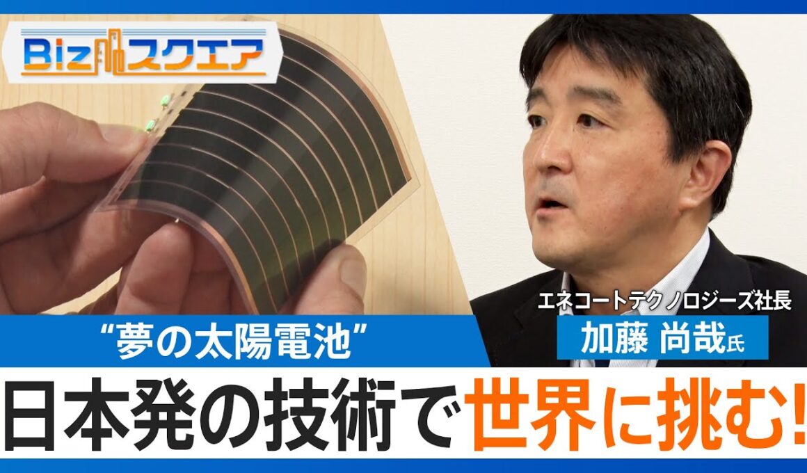 車の屋根からスマホまで 設置場所を選ばない“夢の太陽電池”「ペロブスカイト太陽電池」 日本発の技術で世界に挑め！【Bizスクエア】