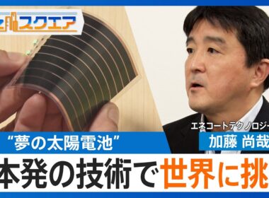 車の屋根からスマホまで 設置場所を選ばない“夢の太陽電池”「ペロブスカイト太陽電池」 日本発の技術で世界に挑め！【Bizスクエア】