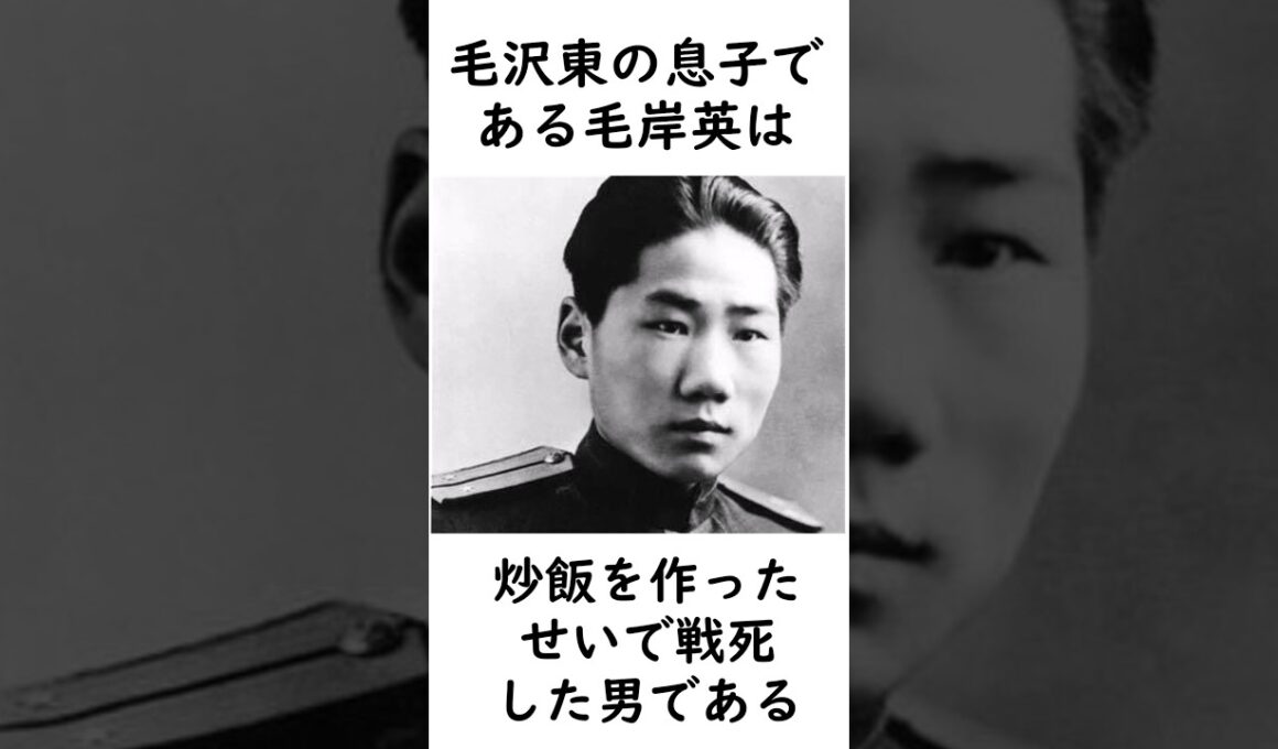 毛沢東の息子がチャーハン作ったら戦死した話 #歴史 #中国共産党 #毛沢東