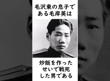 毛沢東の息子がチャーハン作ったら戦死した話 #歴史 #中国共産党 #毛沢東