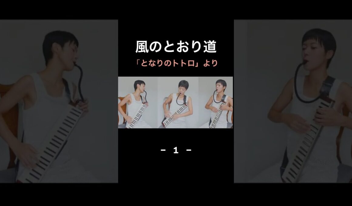 【鍵盤ハーモニカで楽しむジブリ】風のとおり道 （となりのトトロより）-1-  #melodica #ジブリ #風のとおり道