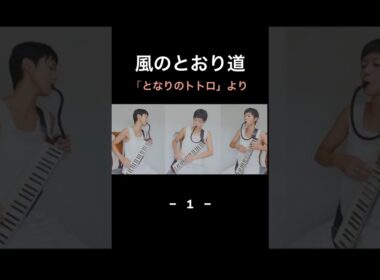【鍵盤ハーモニカで楽しむジブリ】風のとおり道 （となりのトトロより）-1-  #melodica #ジブリ #風のとおり道