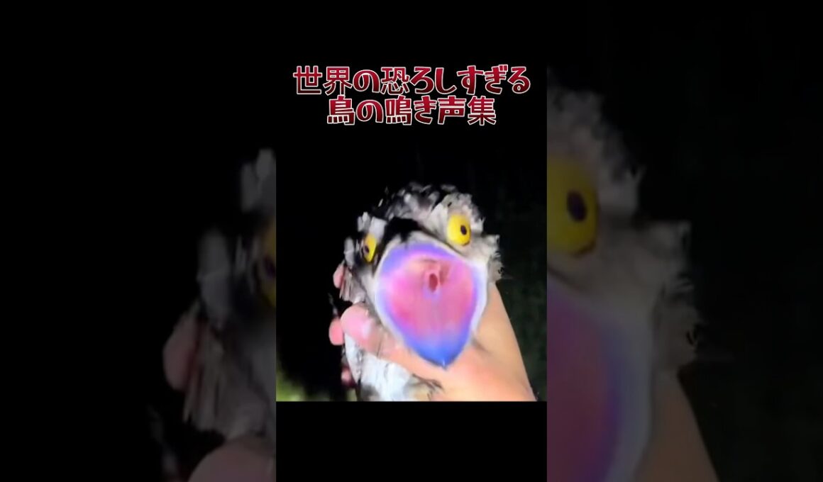 この音が聞こえたら逃げろ