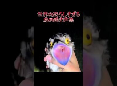 この音が聞こえたら逃げろ