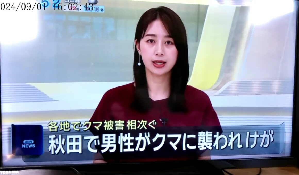 カメラチェック　林美沙希アナ　他　ANNニュース