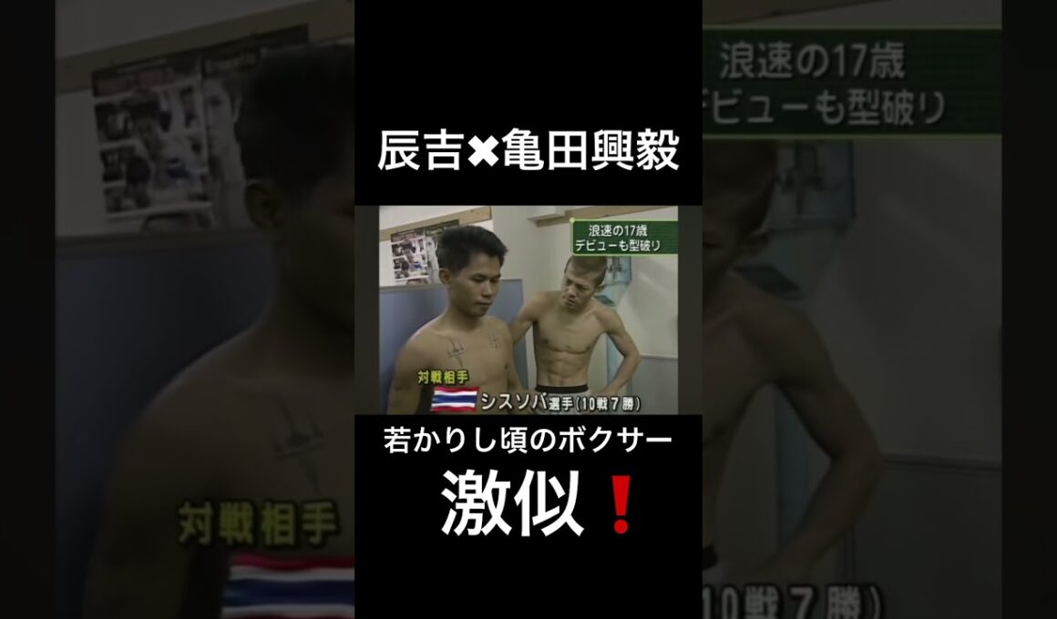 似てる！辰吉、亀田興毅の若かりし頃 #shorts #朝倉未来 #那須川天心