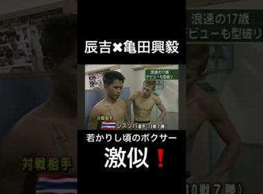 似てる！辰吉、亀田興毅の若かりし頃 #shorts #朝倉未来 #那須川天心