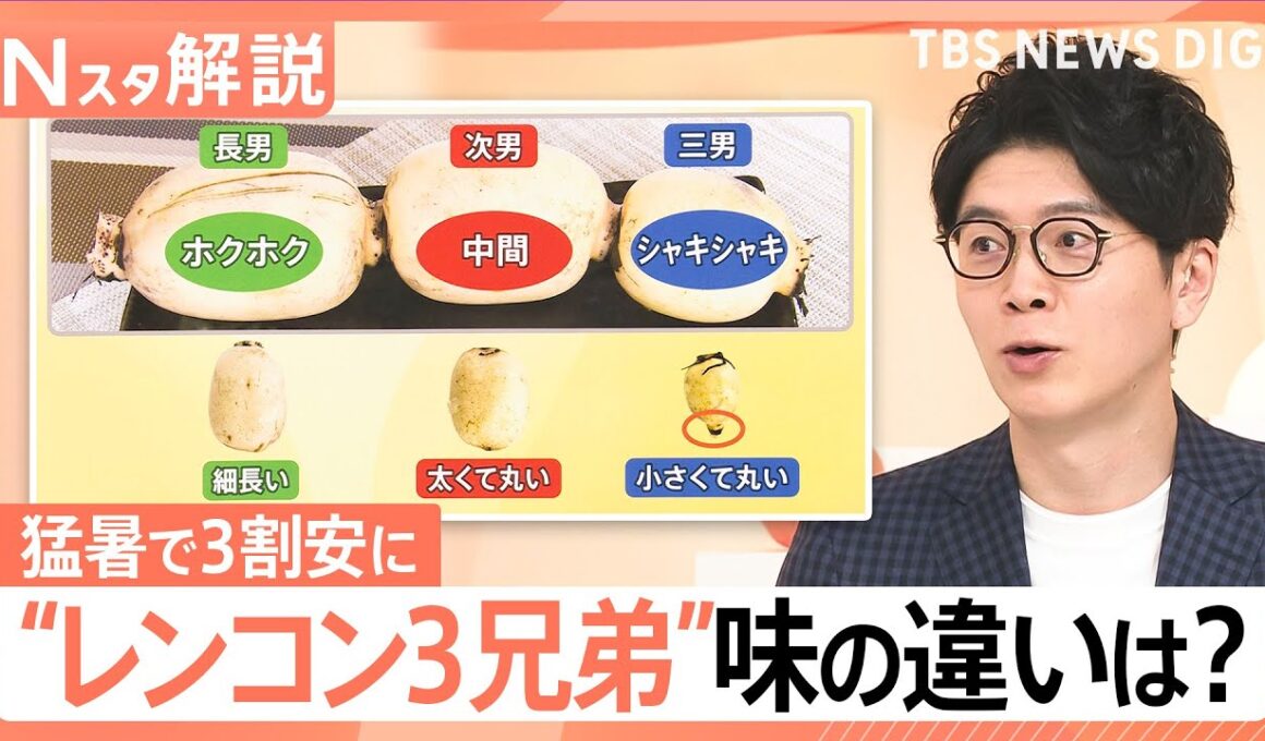 猛暑で豊作「レンコン」がお手頃価格に！部位で変わる「3兄弟」の味・食感とおすすめレシピ【Nスタ解説】｜TBS NEWS DIG