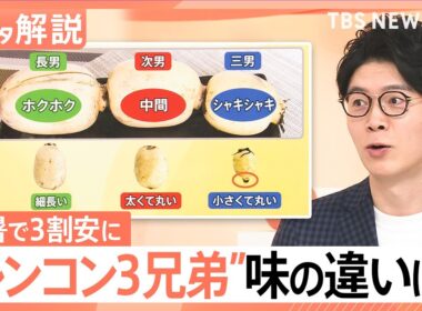 猛暑で豊作「レンコン」がお手頃価格に！部位で変わる「3兄弟」の味・食感とおすすめレシピ【Nスタ解説】｜TBS NEWS DIG