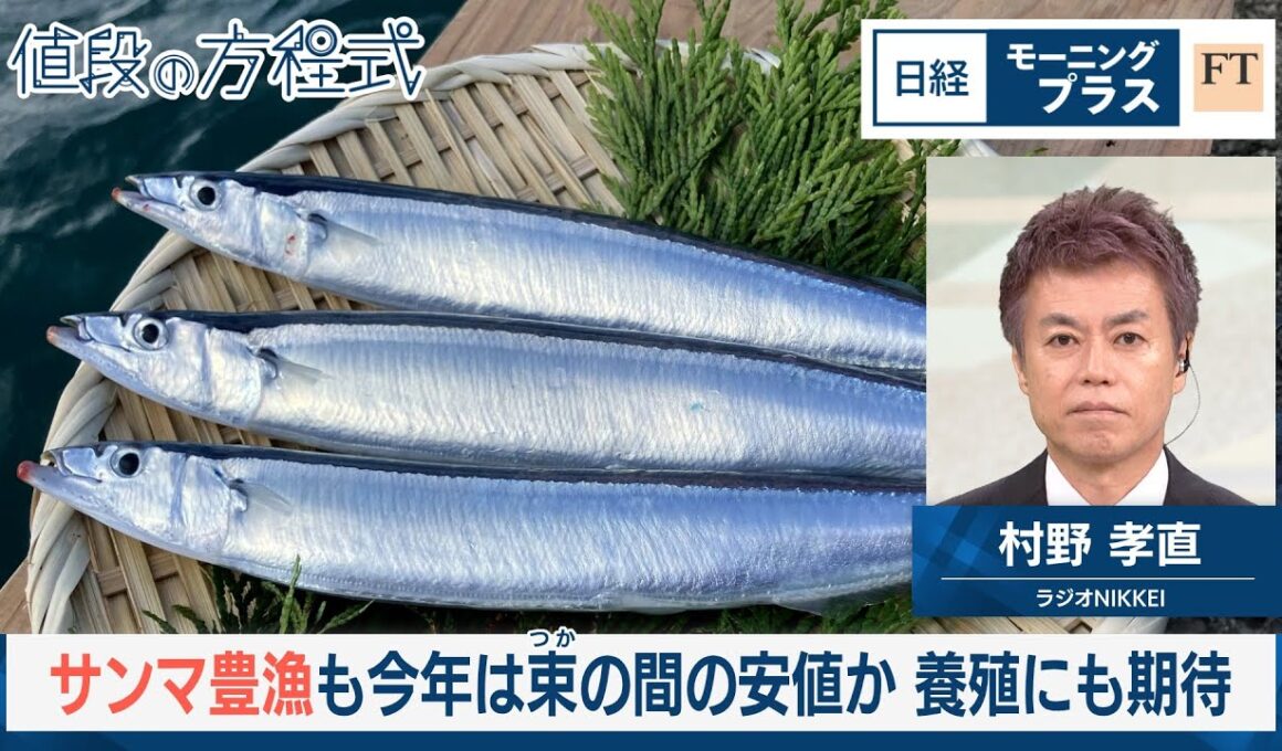 サンマ豊漁も今年は束の間の安値か　養殖にも期待【日経モープラFT】