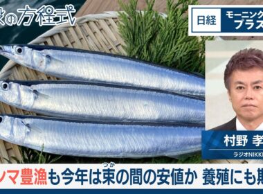 サンマ豊漁も今年は束の間の安値か　養殖にも期待【日経モープラFT】