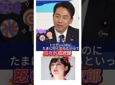 #小泉進次郎 #滝川クリステル 子育て怒られっぱなし #小泉構文