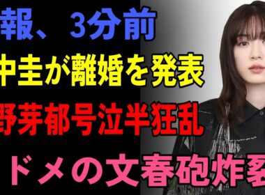 【衝撃】田中圭が突然離婚発表！長野メイ号泣！マスコミが隠す恐ろしい真実とは⁉️