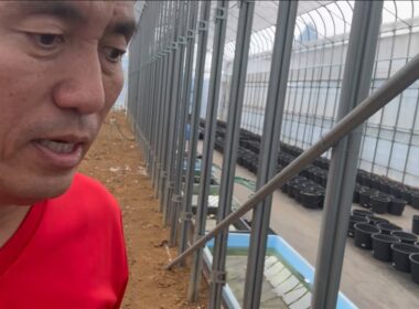 ジョウロで水を撒く区議会議員選挙と雨を降らせる区長選挙