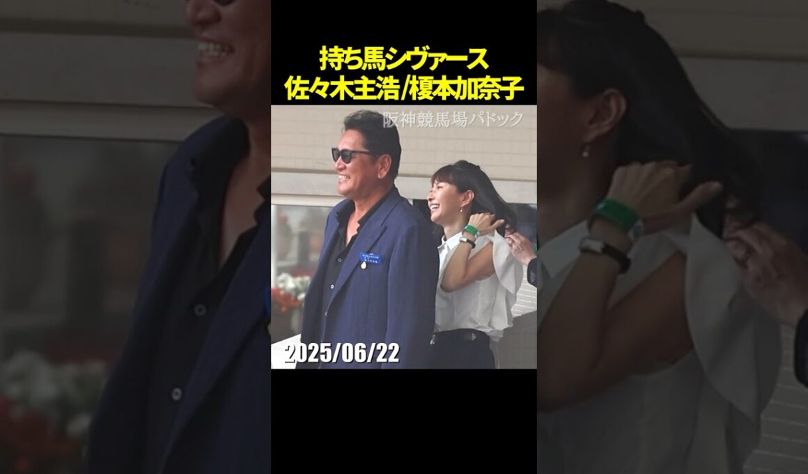 佐々木主浩オーナーと榎本加奈子さんが持ち馬シヴァースを応援されているようす #佐々木主浩 #榎本加奈子 #現地映像 #競馬 #jra #shorts