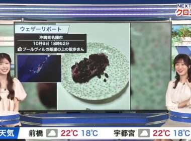 【田辺真南葉】【小林李衣奈】クロストーク（251007 ウェザーニュースlive Afternoon　→　ウェザーニュースlive Evening）