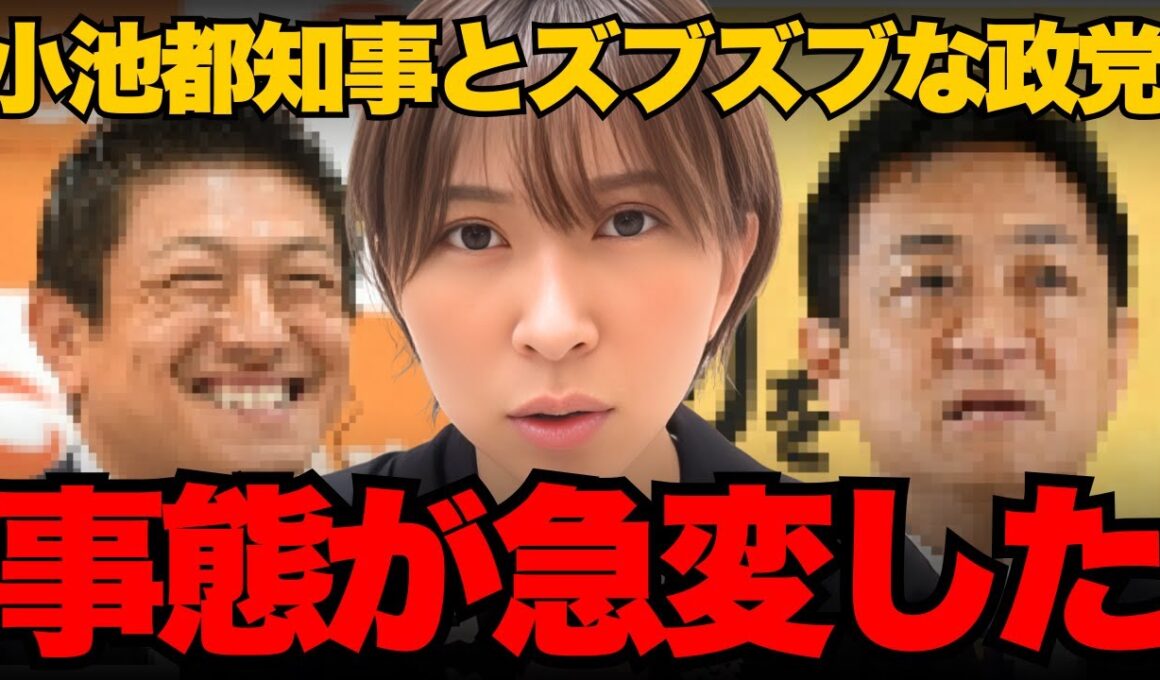 ※拡散してください。小池百合子とズブズブの政党を暴露します。【さとうさおり/参政党/小池都知事/都議会】