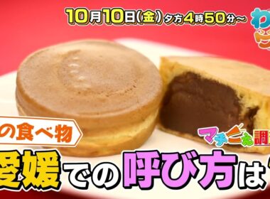 【番宣】▽これは…大判焼き？太鼓まん??それとも…▽夫婦の神ワードとは▽2025/10/10（金）午後4:50