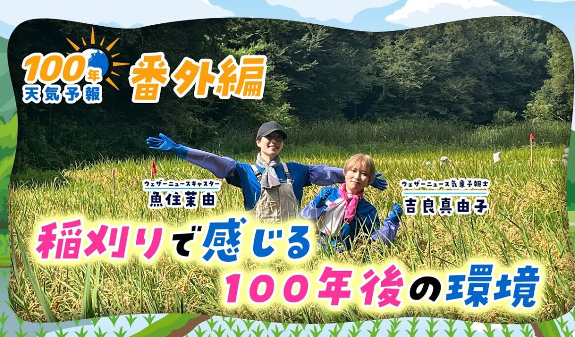 100年天気予報 番外編~"稲刈り"で感じる100年後の環境~