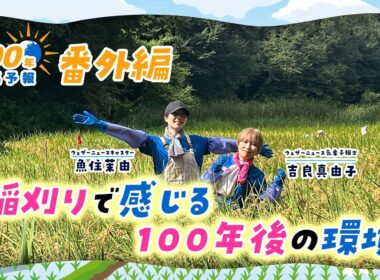 100年天気予報 番外編~"稲刈り"で感じる100年後の環境~