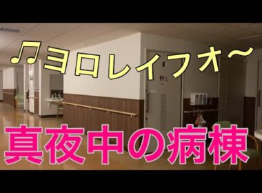 【柴犬飼い主54歳】入院を2倍楽しむ方法！