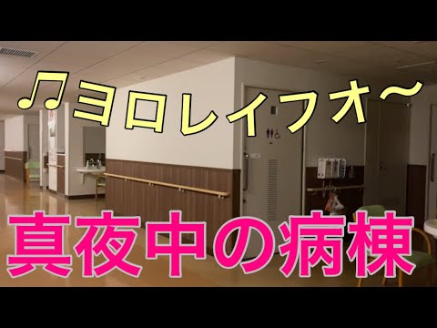 【柴犬飼い主54歳】入院を2倍楽しむ方法！
