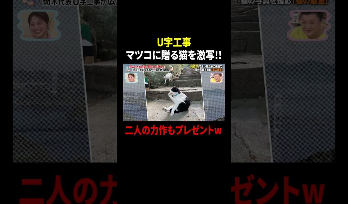 U字工事 マツコに贈る猫を激写!! 二人の力作もプレゼントw｜#かりそめ天国 #TVer で最新話配信中！