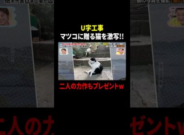 U字工事 マツコに贈る猫を激写!! 二人の力作もプレゼントw｜#かりそめ天国 #TVer で最新話配信中！