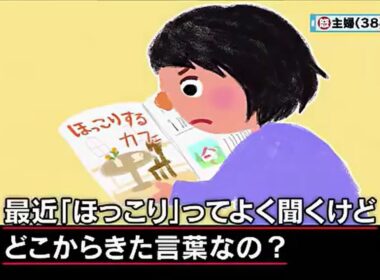 【マツコ・有吉】「ほっこり」を使う人
