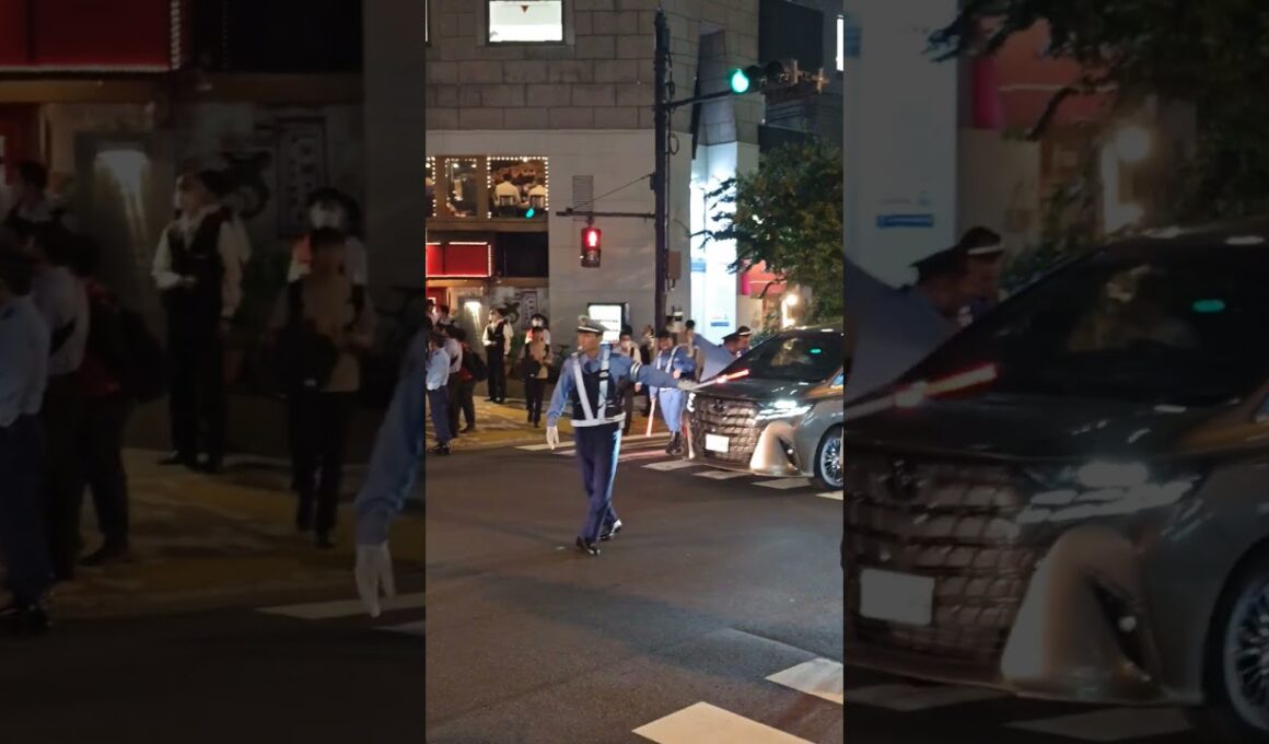 この状況で右折を試みようとするアルファード車、やはりあきらめて直進したようです。【イスラエル大使館闘争】この奥にイスラエル大使館がある。東京・麹町