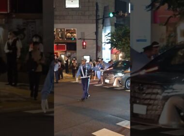 この状況で右折を試みようとするアルファード車、やはりあきらめて直進したようです。【イスラエル大使館闘争】この奥にイスラエル大使館がある。東京・麹町