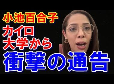 フィフィ 小池百合子について爆弾発言連発。とんでもないことが起こりました。#フィフィ #小池百合子 #政経タイムズ